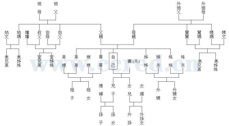 中国主要亲属称谓表